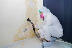 Why You Should Choose Our Mold Remediation Services in Ocean Acres, NJ